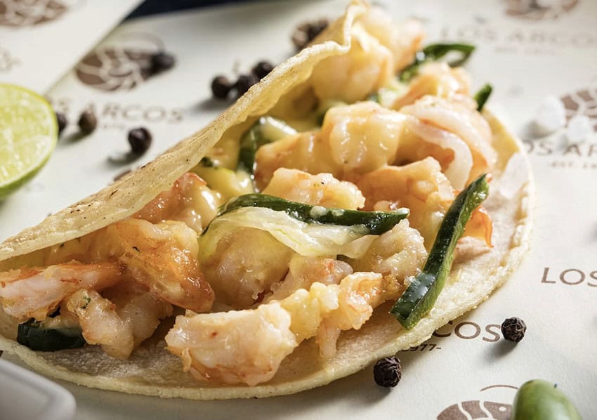 Taco gobernador
